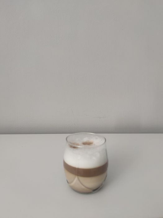 Espressor manual Breville Prima Latte VCF045X-01, 15 bari