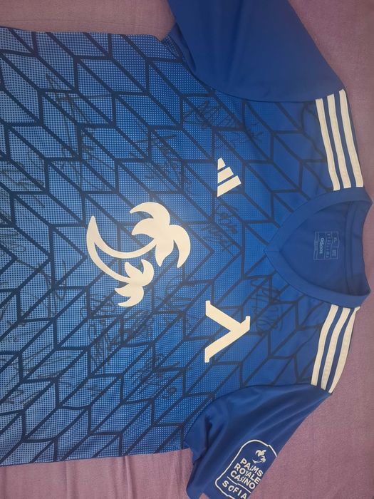 Тениска на Левски