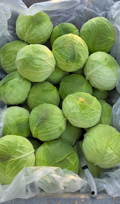 Varză Beverly Hills !