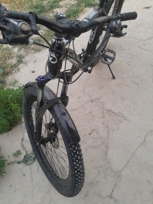 Velik gonchik 26