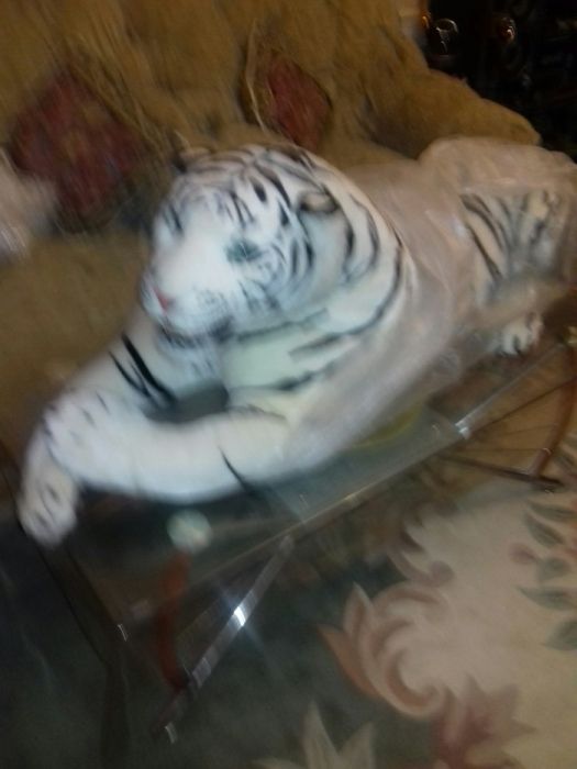 Тигр  большая и белая