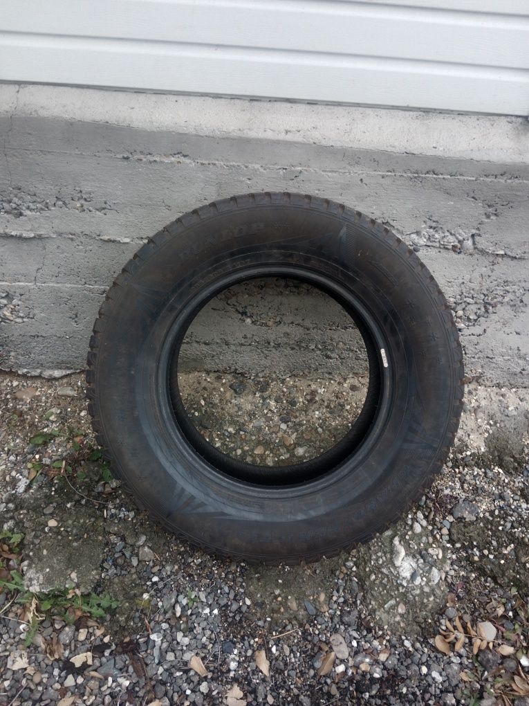Продам зимнюю резину DUNLOP
