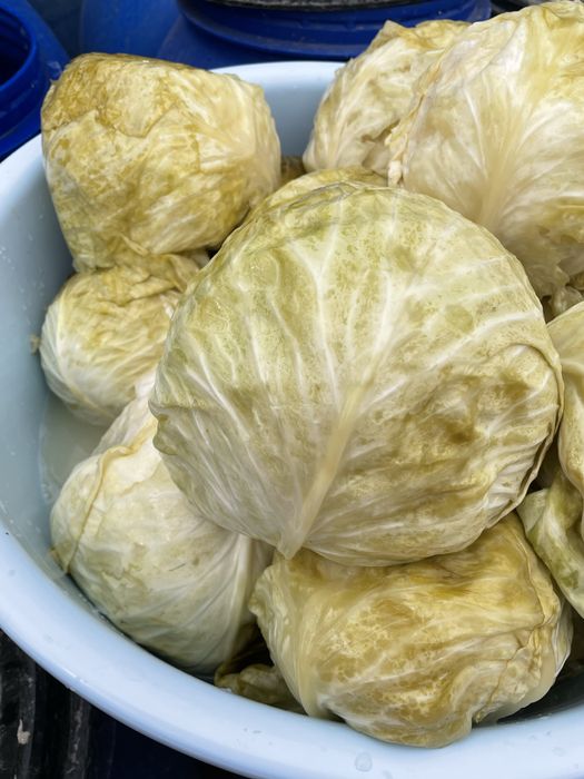 Varză murată  de vânzare