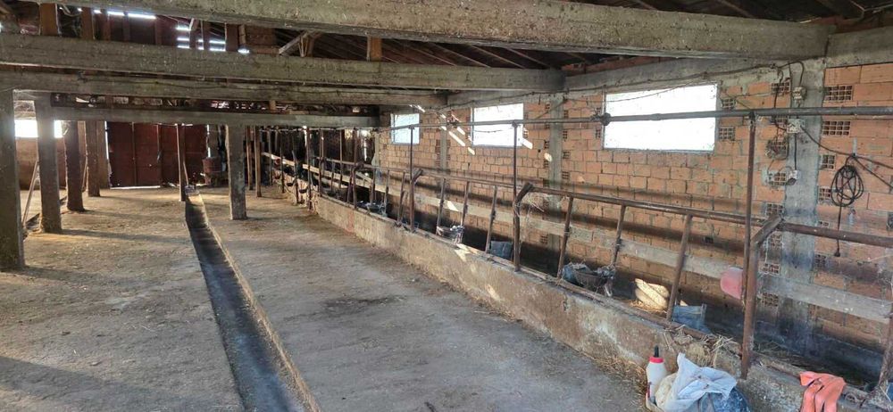 Продава се стопански имот – кравеферма в с. Знаменосец