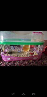 Cușcă hamster de vânzare