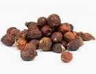 Măceșe uscate natural la soare ,culese din zone curate.45 lei/kg