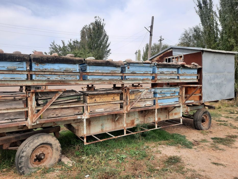 Прицеп пчеловодный. Подробности по телефону. 35 млн. Торг возможен