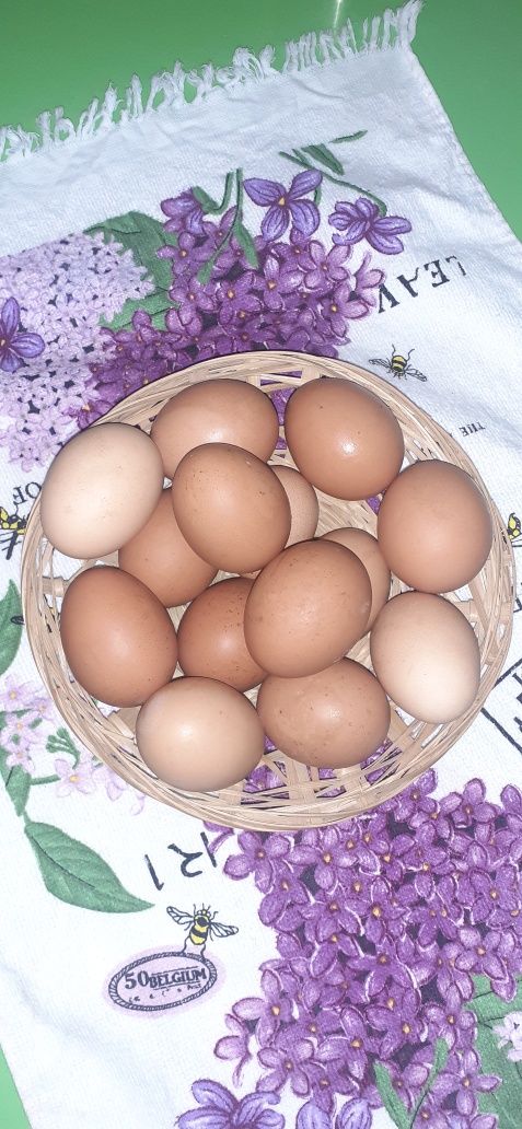 Ouă de la găini de țară crescute doar natural fără CONCENTRATE!