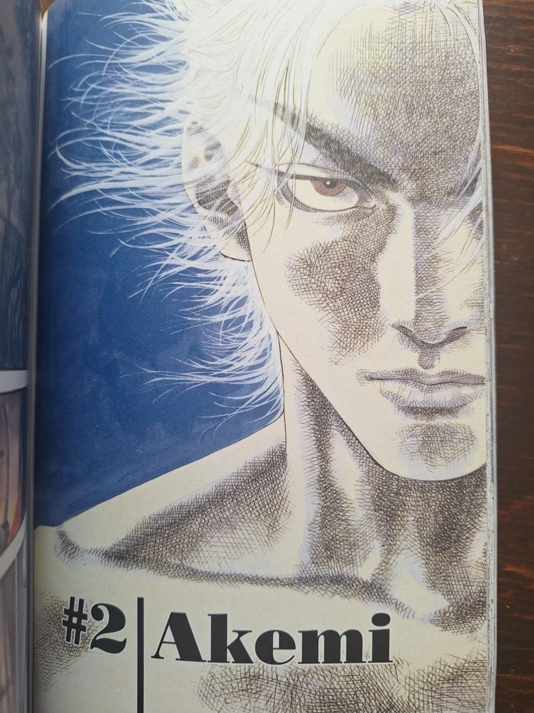 Vagabond volumul 1
