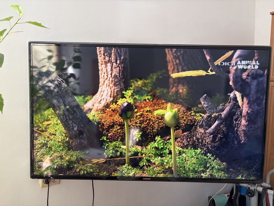 Smart TV Samsung Televizor