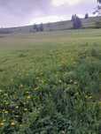 Vand teren intravilan 8000mp