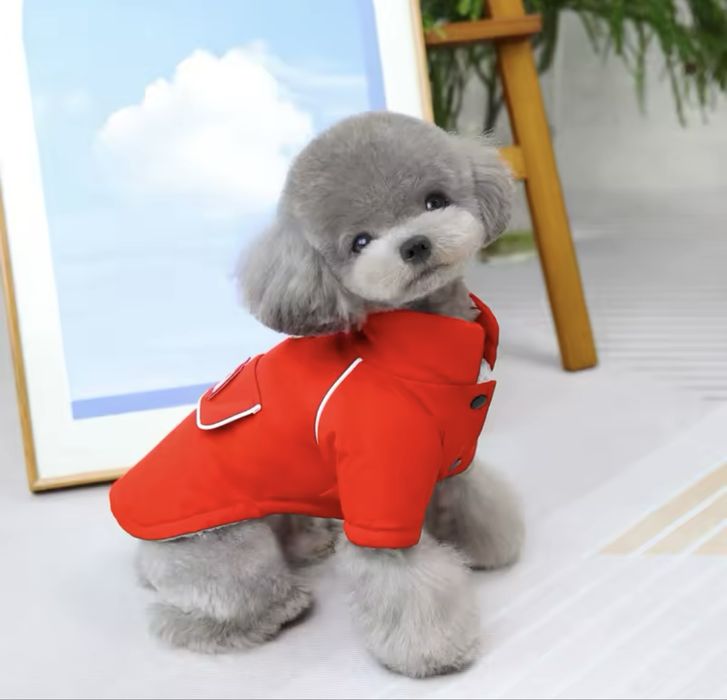 Кучешка дрешка, елече, гащеризон