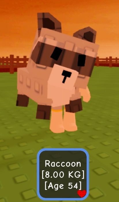 Продажа "raccoon" , Цена-2.000тг(Казахстан)