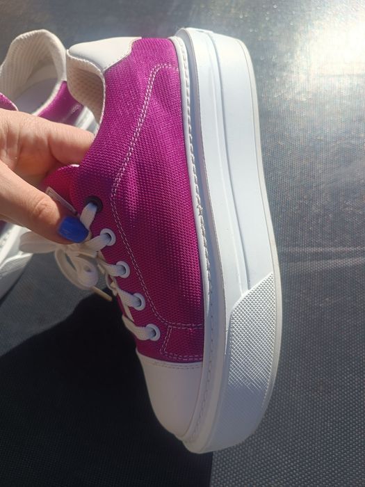 Кецове Daris циклама