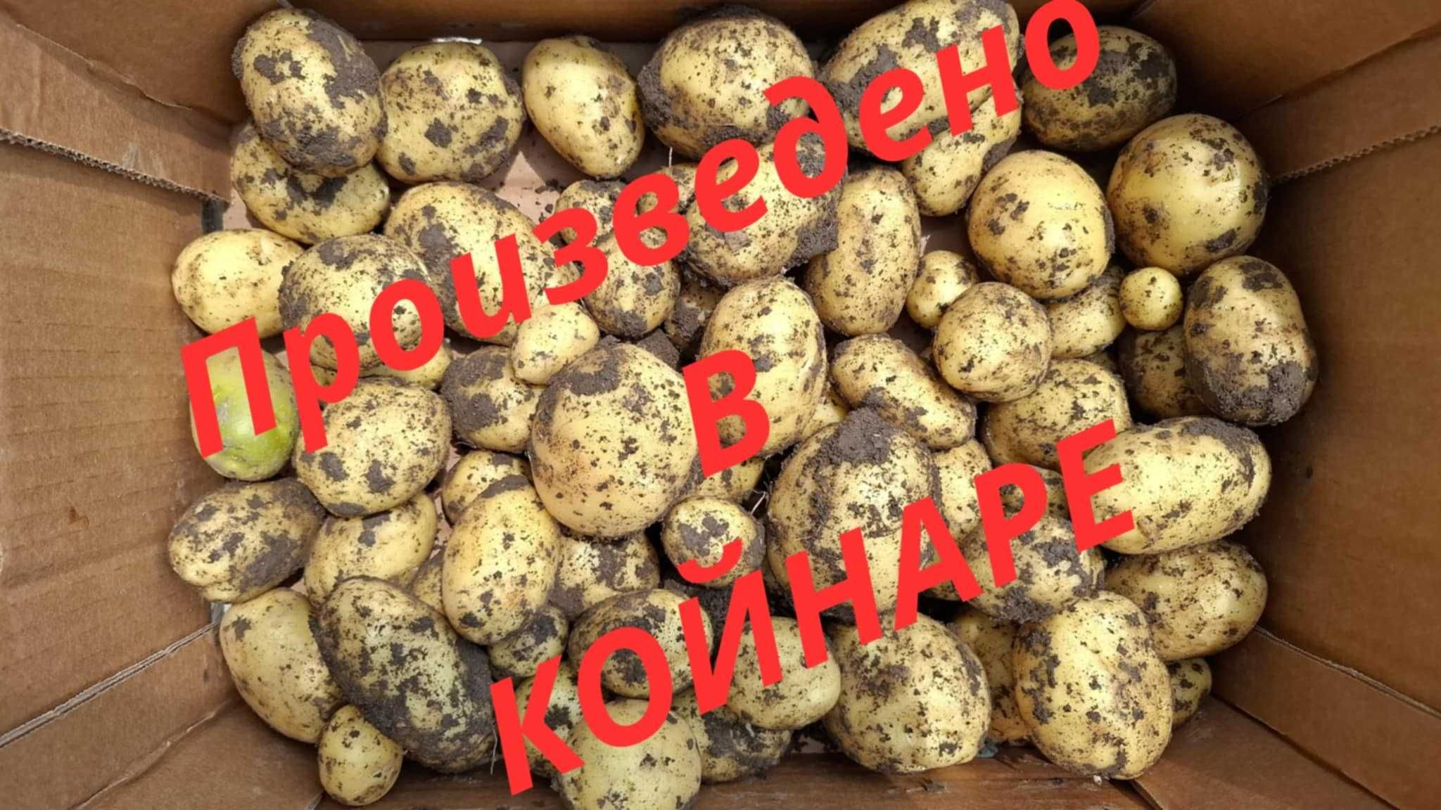 Продавам пресни картофи