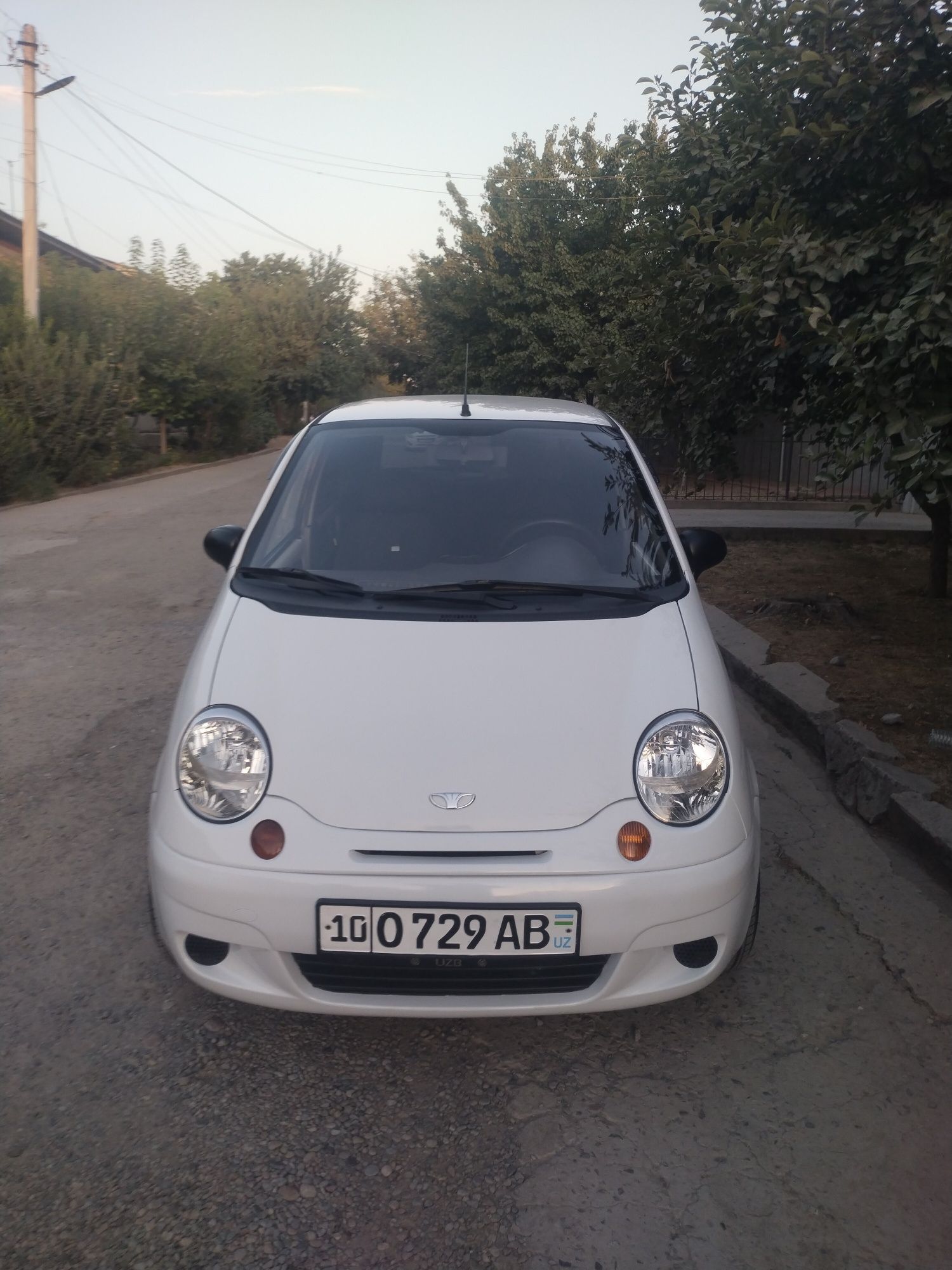 Matiz prostoy kanditsanerli arenda