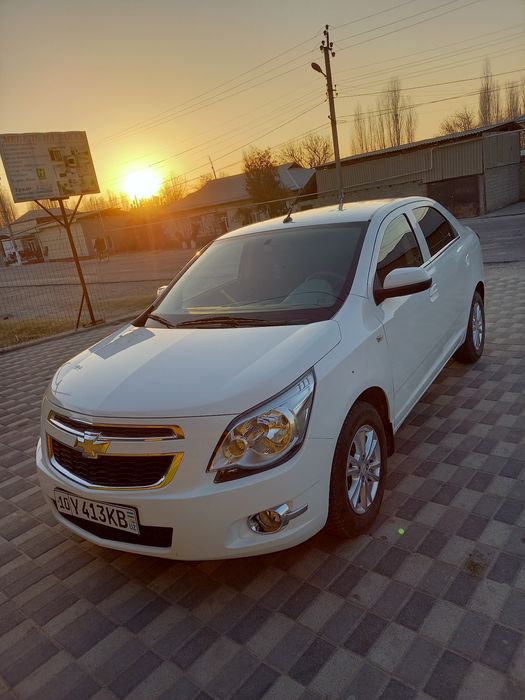 Коблыт сотыладии