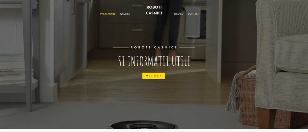 Site-uri custom si pagini social media