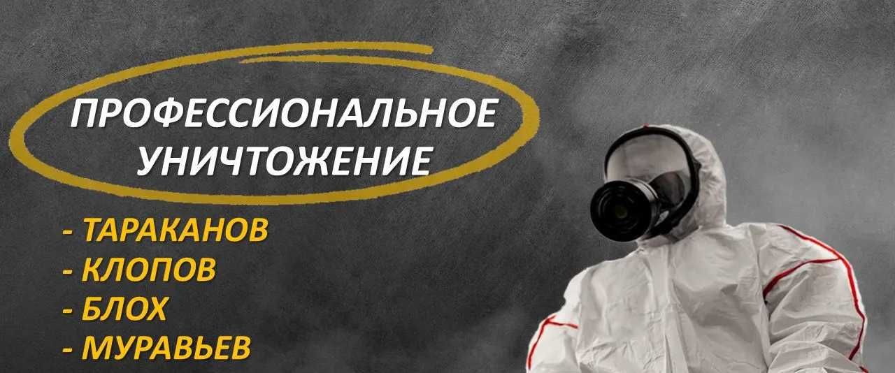 Dezinfeksiya klop klapa tarakan | Уничтожение скорпион | змей ilon Y1