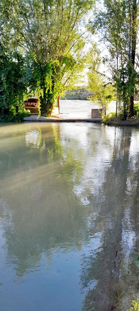 Dam olishga tapchan ijaraga beriladi