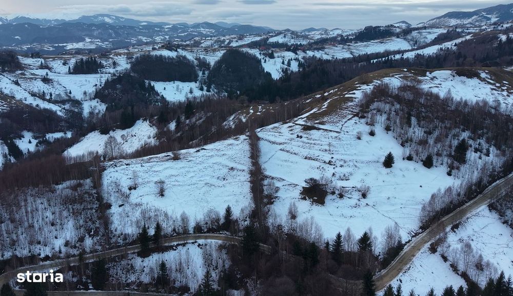 Teren de vânzare – Peștera Măgura Moeciu