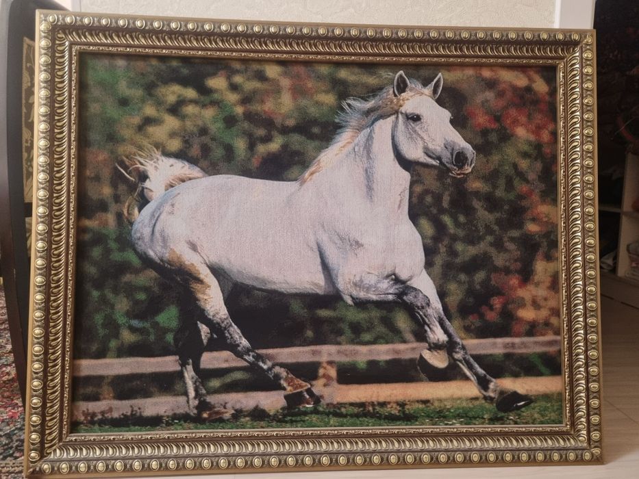 Плотно в отличном состоянии