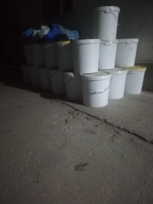 Тоғ Асали Горный Мёд маиский мёд