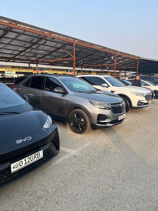 Equinox (Full) 2022 года