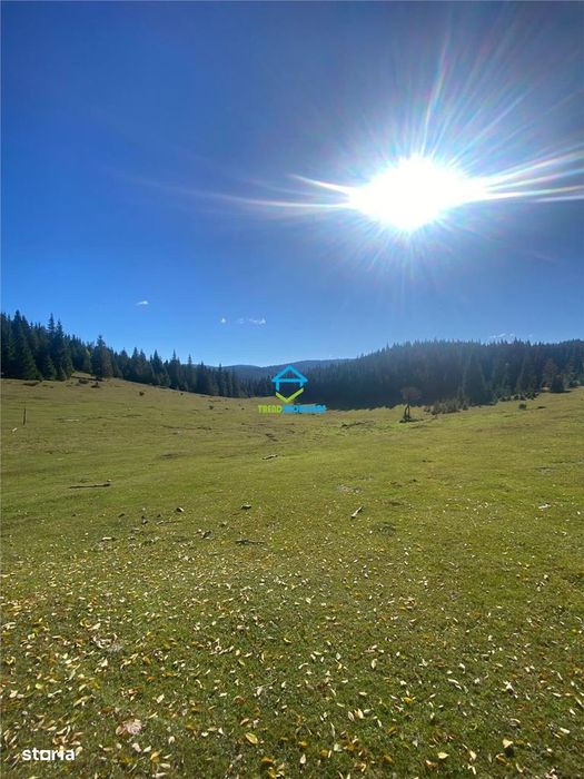 NOU - Teren extravilan la Poiana Horea - Belis - 16.000 mp