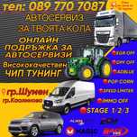 Чип Тунинг премахване на EGR_DPF_off дроселови клапани и adblue off