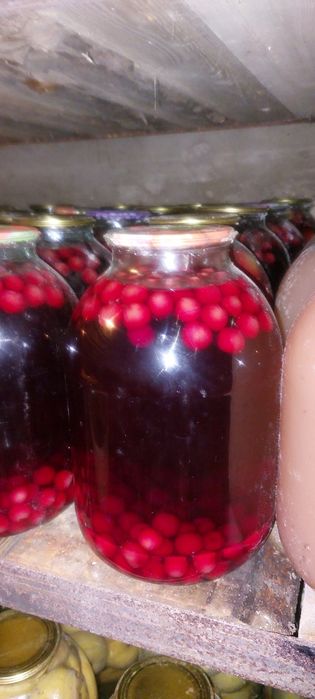 Продам кампоты домашние