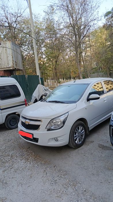 Kobalt 2024 holati a'lo