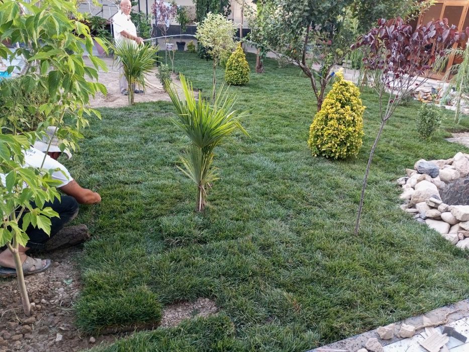 Sadivnik landshaft dizayni