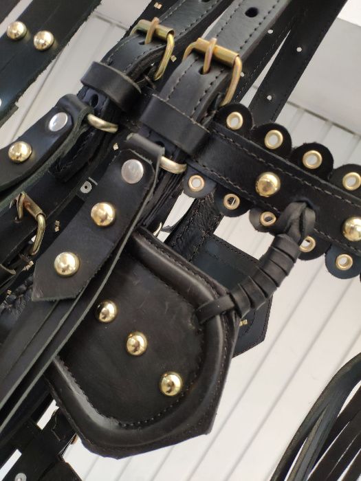 capici-cu-salba CAL/MAGAR/PONEI | set premium ... ⟣GARANTIE ⁴⁸