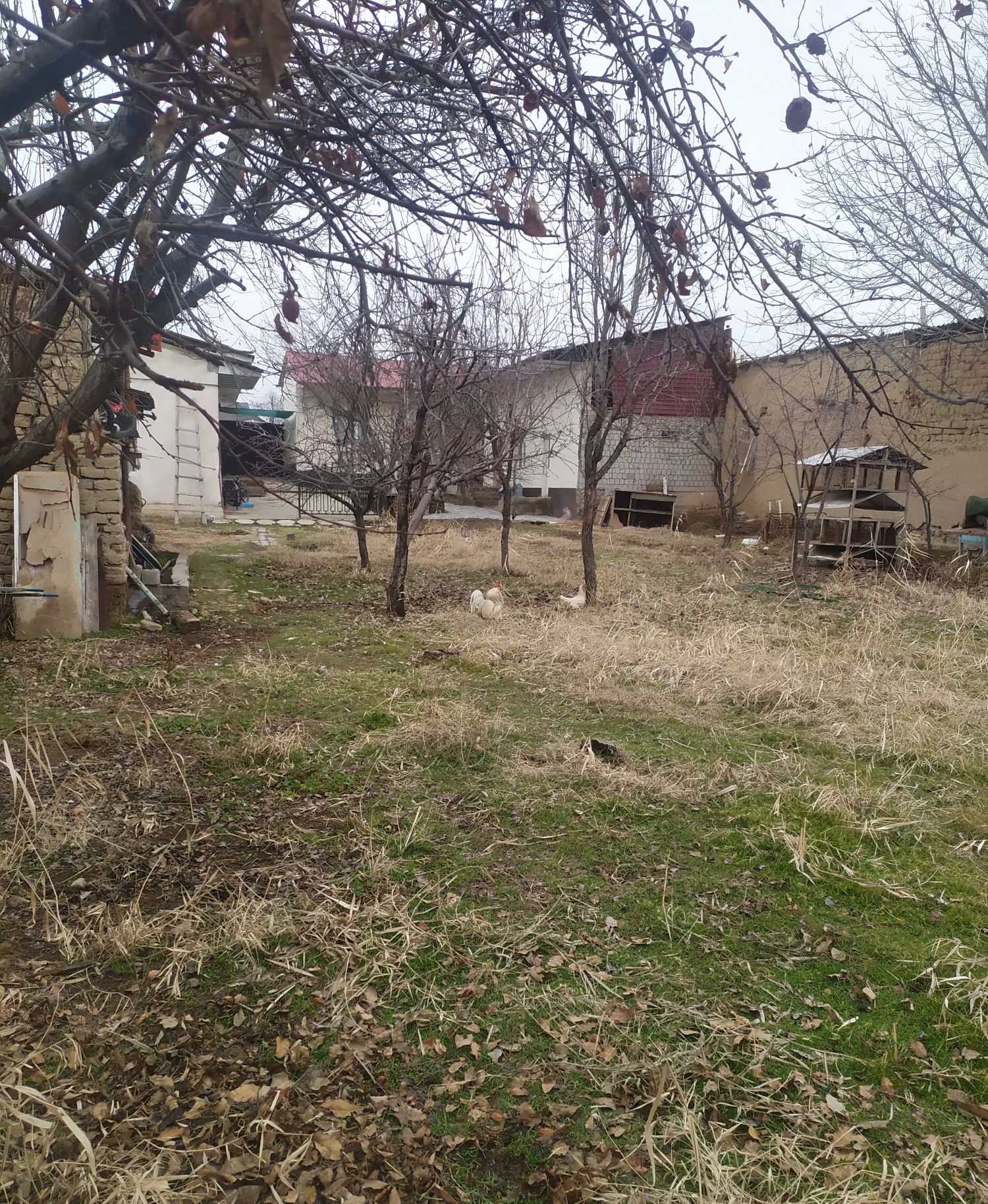 Yer sotiladi 4 sutik