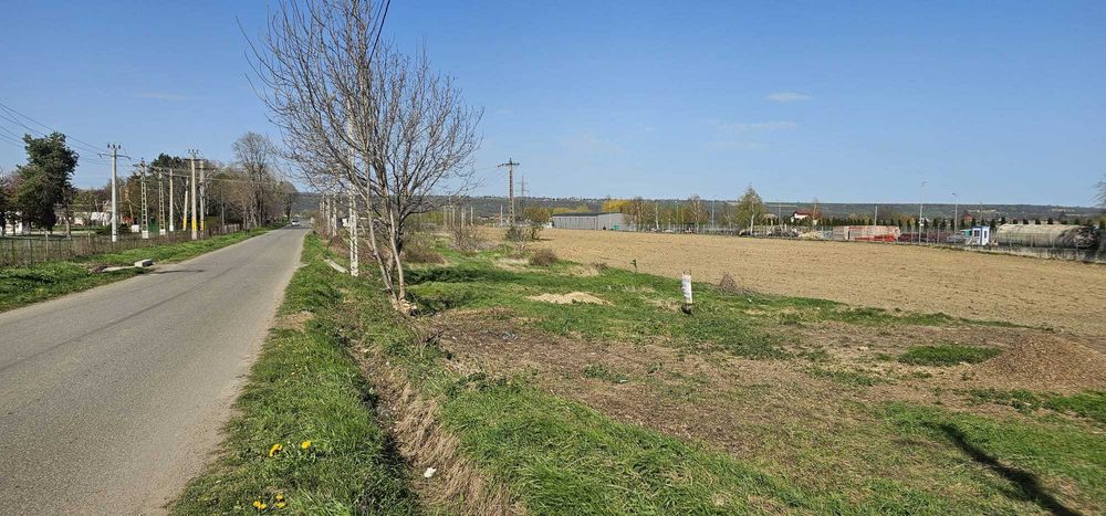 teren intravilan 1700 mp Garleni langa Agricola