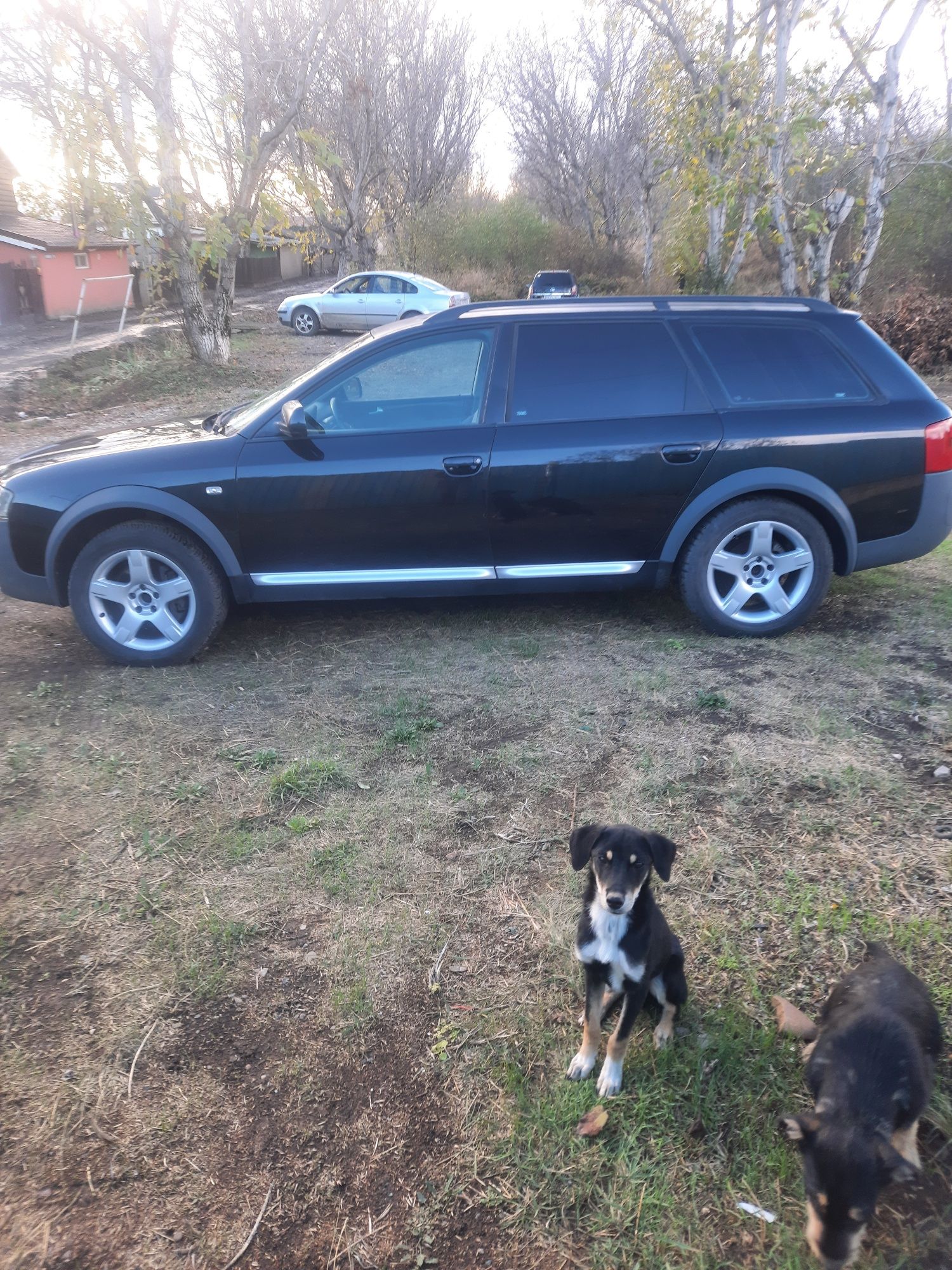 Audi ALLROAD quattro 2,5TDI,an 2003,automat