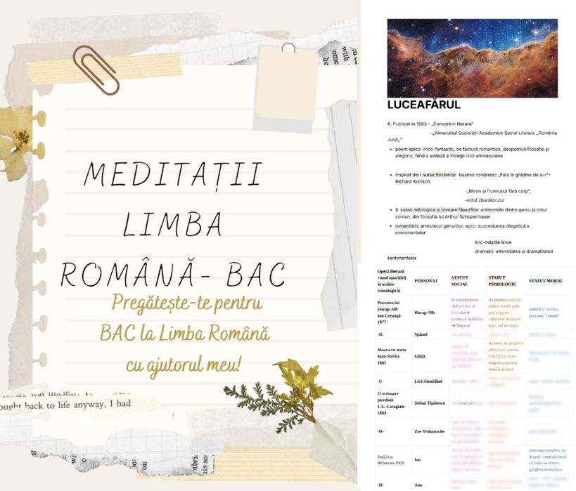 Meditații Limba Română- Pregătește-te pentru BAC alături de mine!