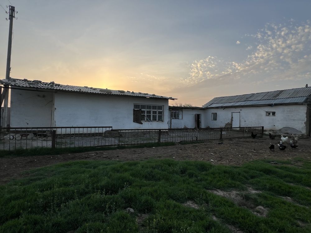 Dalaxovli sotiladi