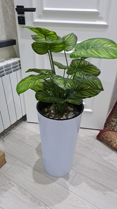 Цветы декоративные Суний Гул Тувак Арт Архидея Пальма