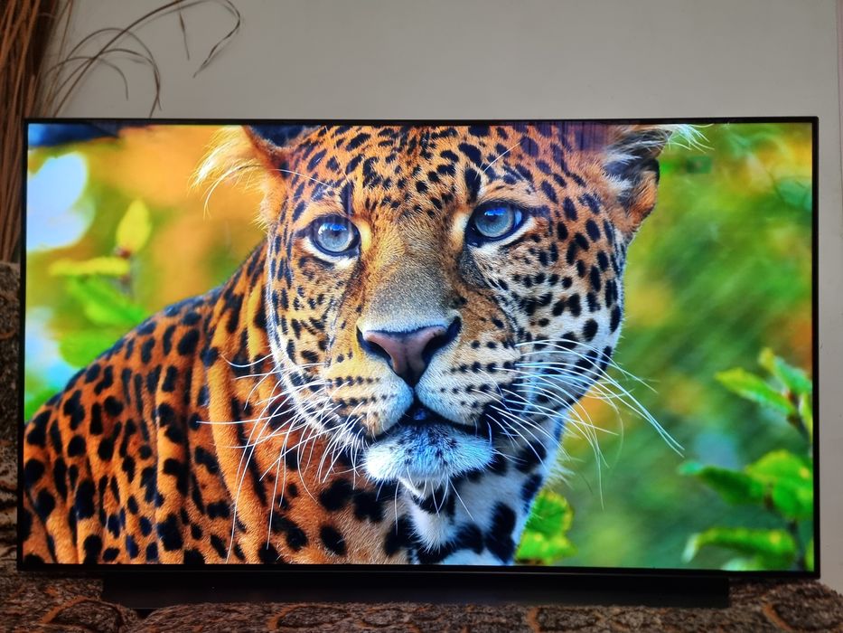 LG OLED Smart TV / 55" - 4K , HDR10+ , WebOS , Dolby Atmos