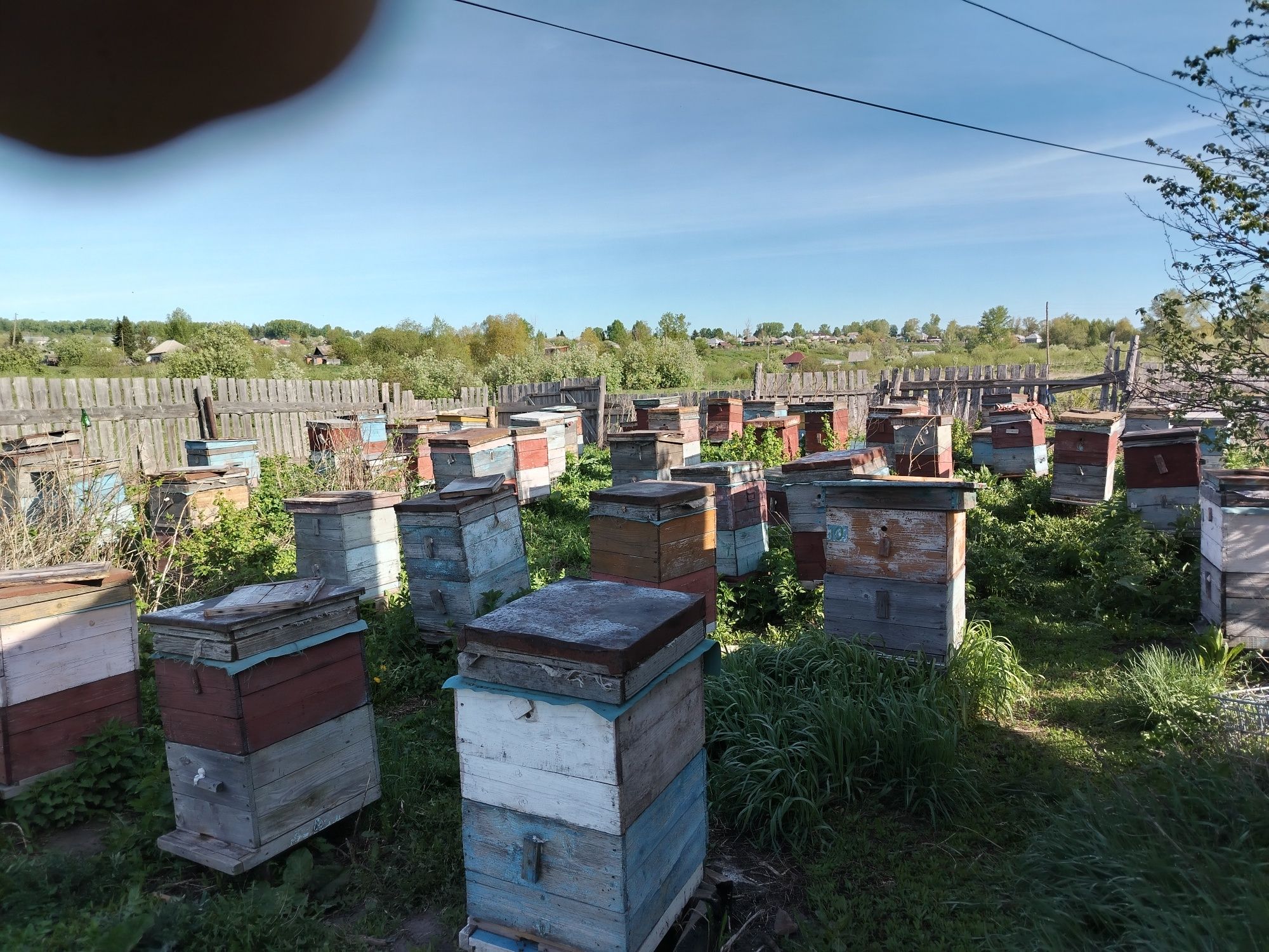 Продам дом, пасеку, пчелосемьи