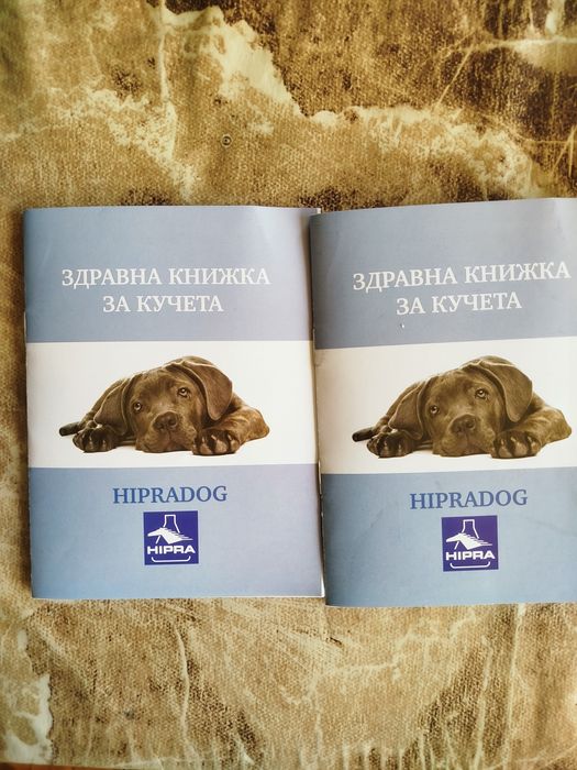 Продавам Мини Пинчер