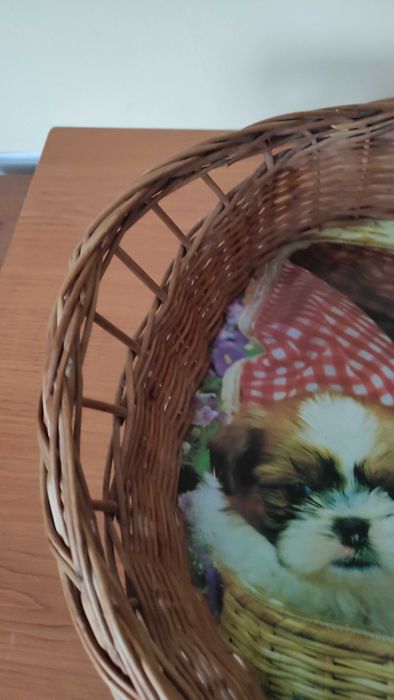 Два големи плетени панера/подноса с подсилено дъно