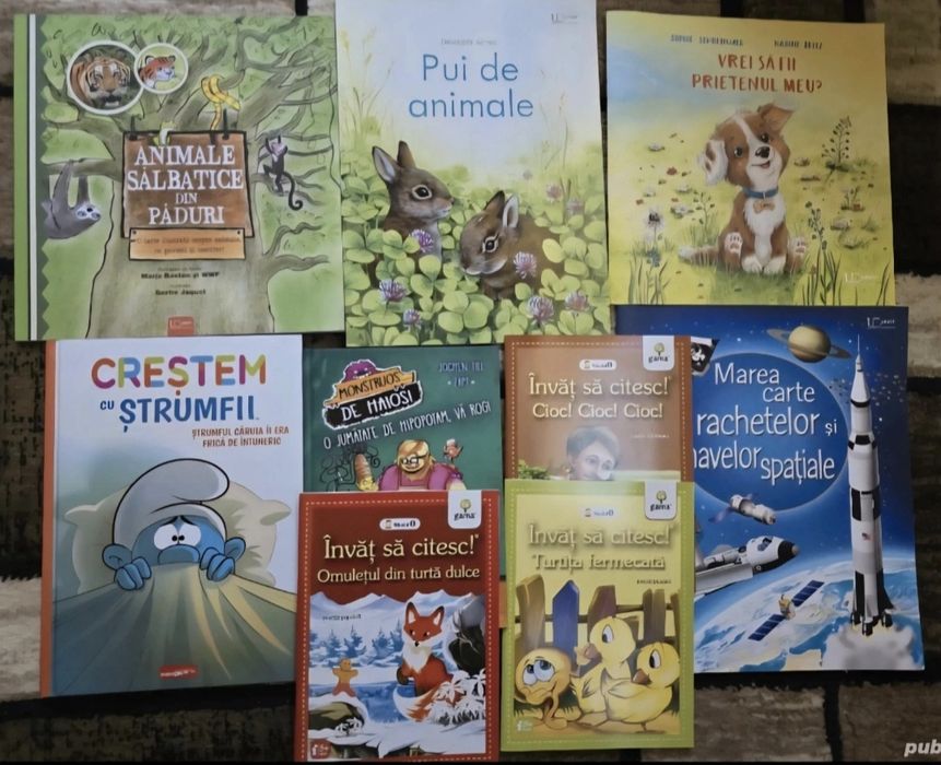 Pachet 9 carti pentru copii