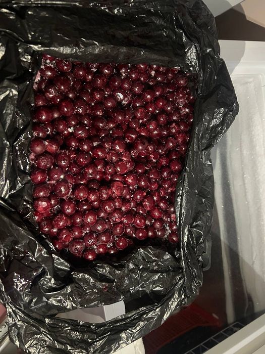 Шпанка замороженная