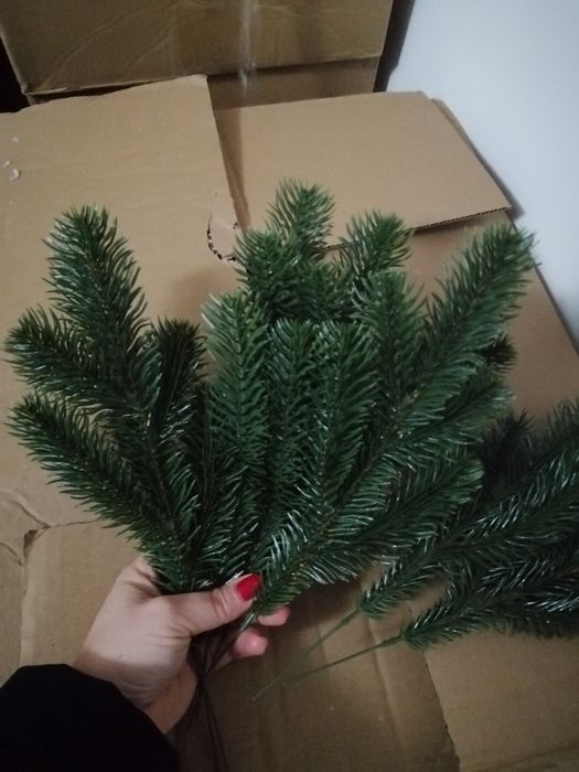 Mix crenguțe brad 100 bucati