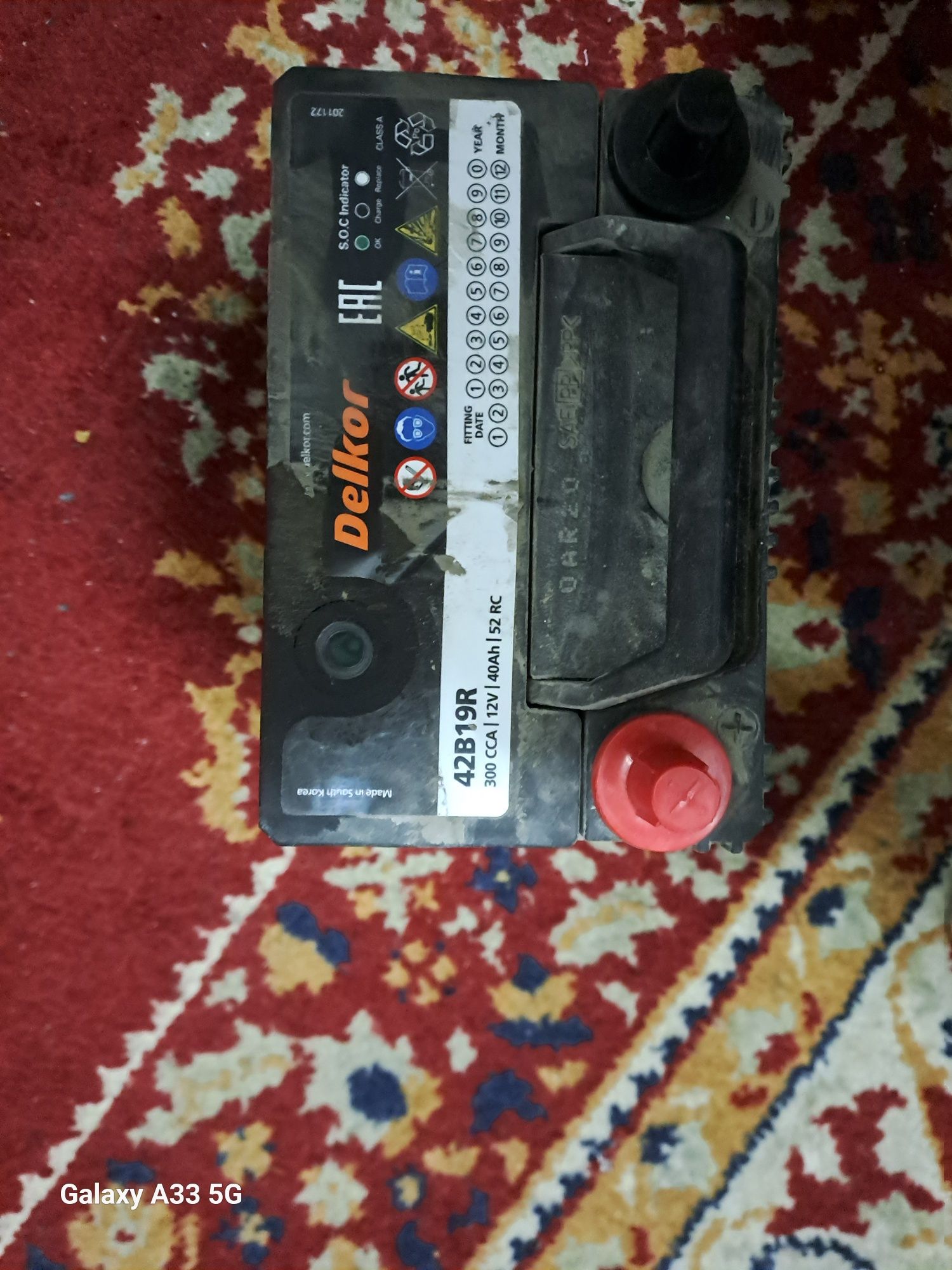 Delkor damza uchun