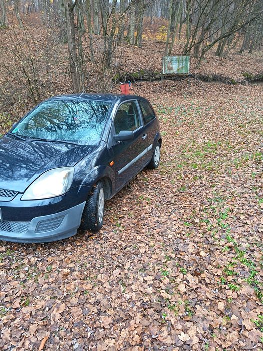 Ford Fiesta 1.3benzina