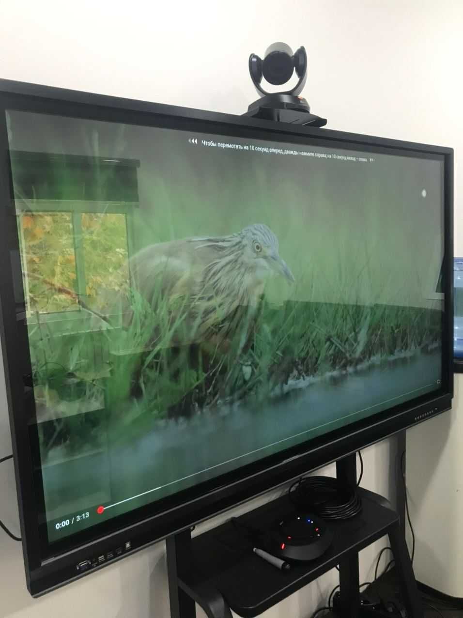 Технологияларда тежанг — 65", 75", 86" панелаларда акция бошланди!
